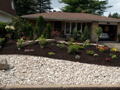 IMG_20170803_150411_copy